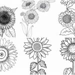 coloringpages Sunflower coloring pages