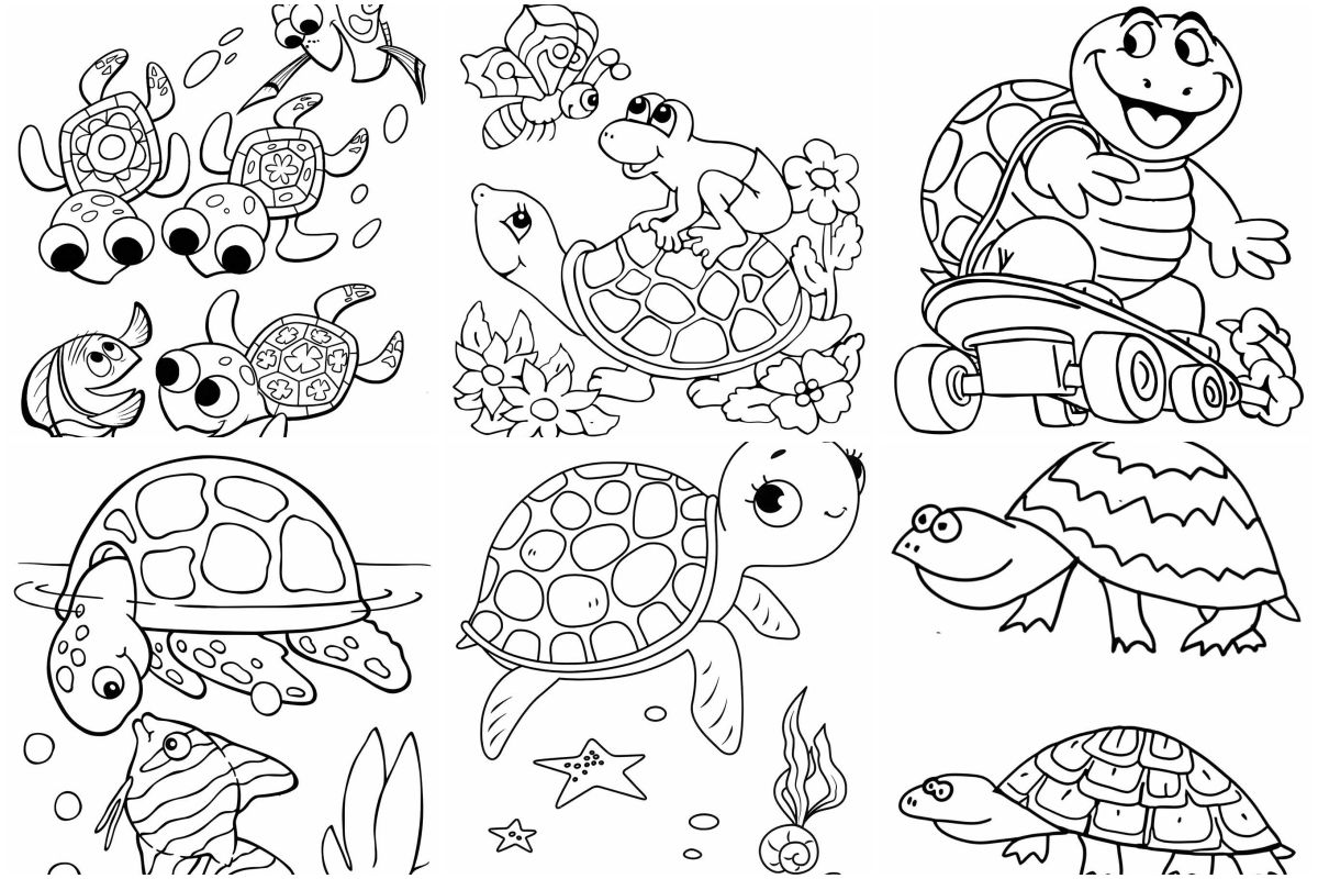 coloringpages Turtle coloring pages