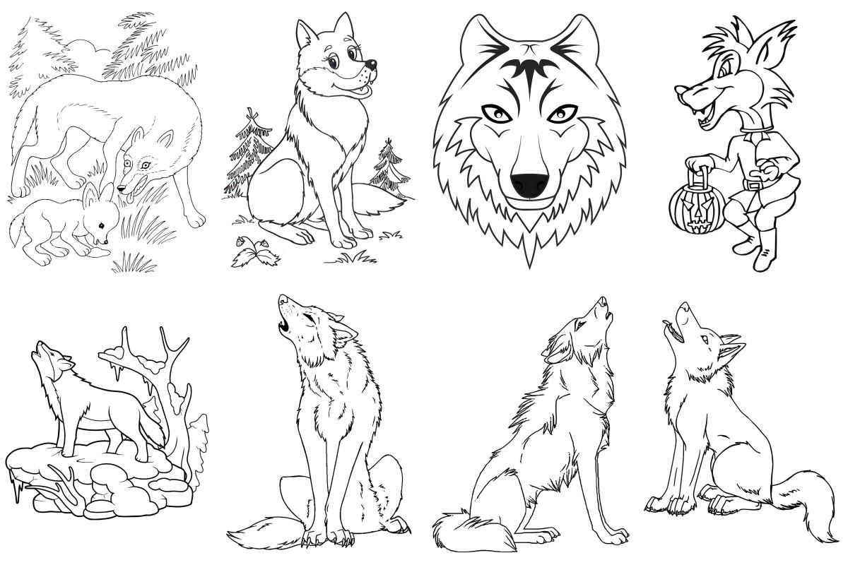 coloringpages Wolf coloring pages